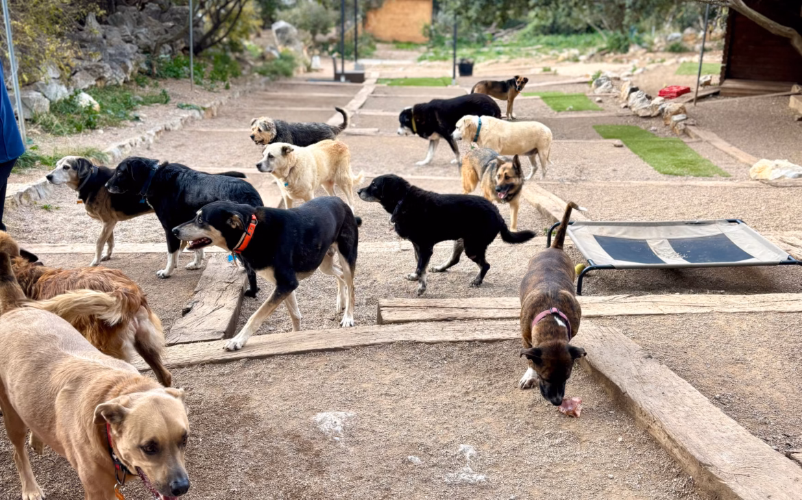 visita canopolis fundación trofolium