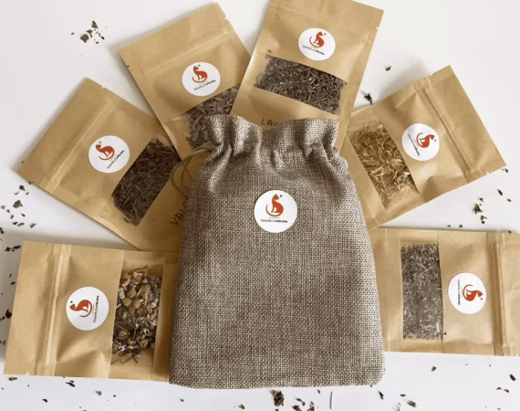 jardines-aromaticos-para-gatos jardines aromaticos para gatos